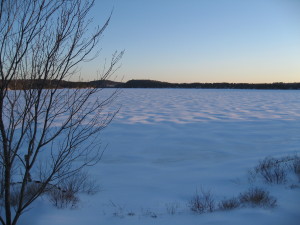 Winter shadows